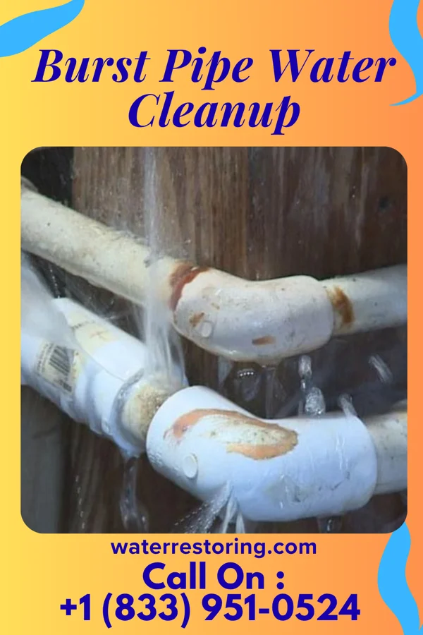 Burst Pipe Water Cleanup in Blairsville, PA
