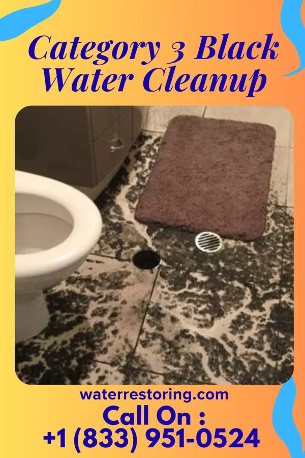 Category 3 Black Water Cleanup in Blairsville, PA