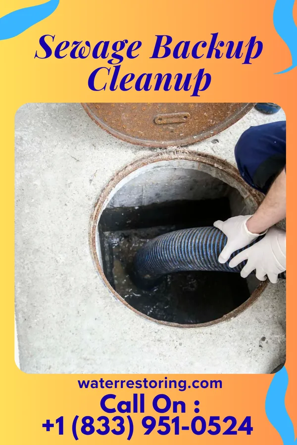 Sewage Backup Cleanup in Blairsville, PA