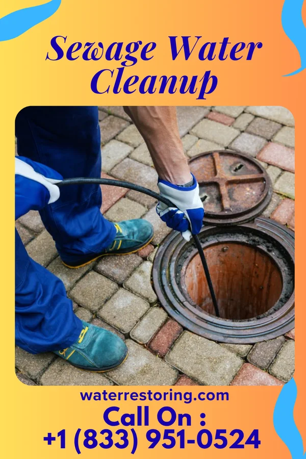 Sewage Water Cleanup in Blairsville, PA